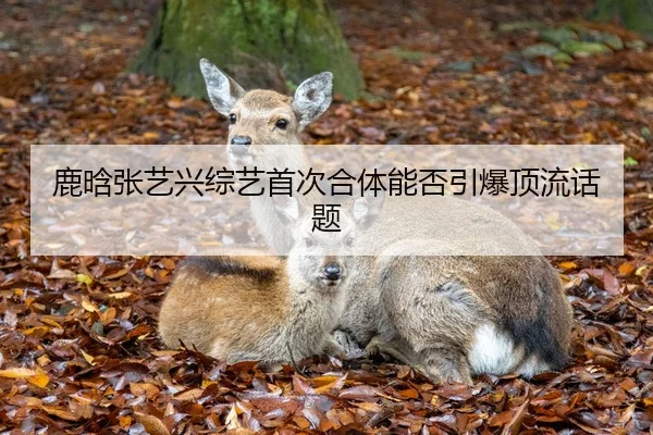 lu-han-zhang-yi-xing-zong-yi-shou-ci-he-ti-neng-fou-yin-bao-ding-liu-hua-ti-2-751.jpg